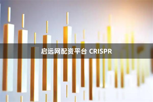 启远网配资平台 CRISPR