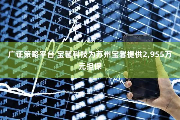 广证策略平台 宝馨科技为苏州宝馨提供2,955万元担保