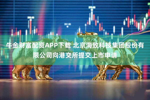 牛金财富配资APP下载 北京海致科技集团股份有限公司向港交所提交上市申请